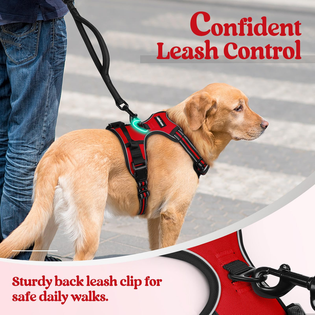 Dog Harness No Pull for Small Dogs with 2 Leash Clips (Small / Red)