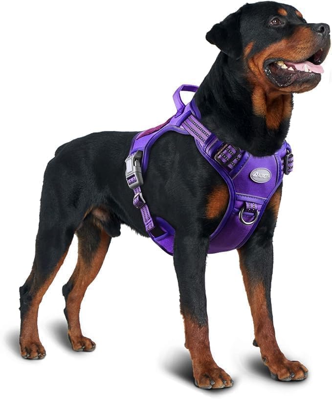 Dog Harness for Large Dogs (Purple / L(Neck:18-29",Chest:24-37"),45-80 lbs)