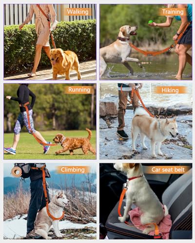 Hands Free Dog Leash (Orange / Large-5.9-9.5ft)
