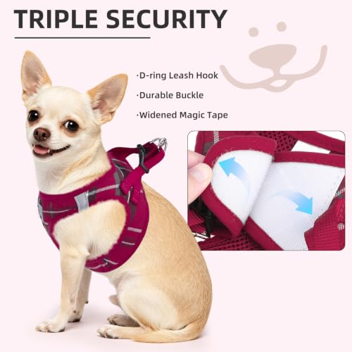 Dog Harness Collar and Leash Set No Pull for Small Medium Sized