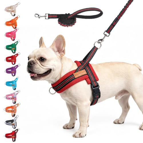 Dog Harness Medium Sized and Leash Set (Red & Black / M: Chest 21"-26.7")