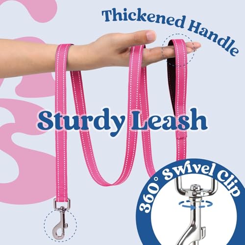 Dog Harness Small Sized and Leash Set (Navy Blue & Rose Red / L (Chest: 18.2"-20.5"))