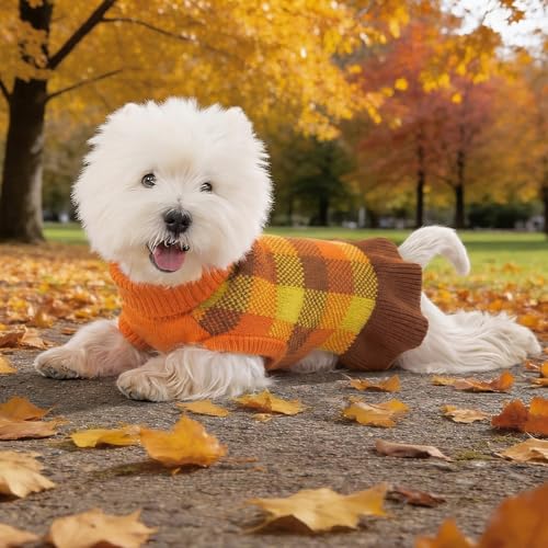 Dog Sweater Dress Plaid Knitwear for Medium Dogs Girl Christmas Clothes (Orange / Medium)