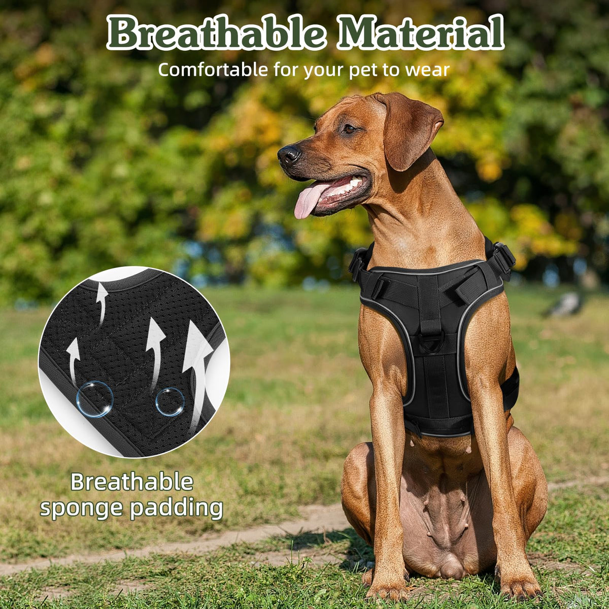 Heavy Duty Tactical Dog Harness for Small Dogs (Black / S (Chest: 19.6-31.5", Neck: 11-19.6"))