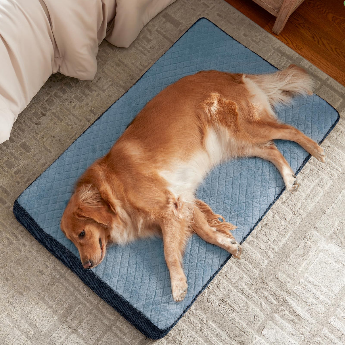 Orthopedic Medium Dog Bed (M(29"x18") / Blue)