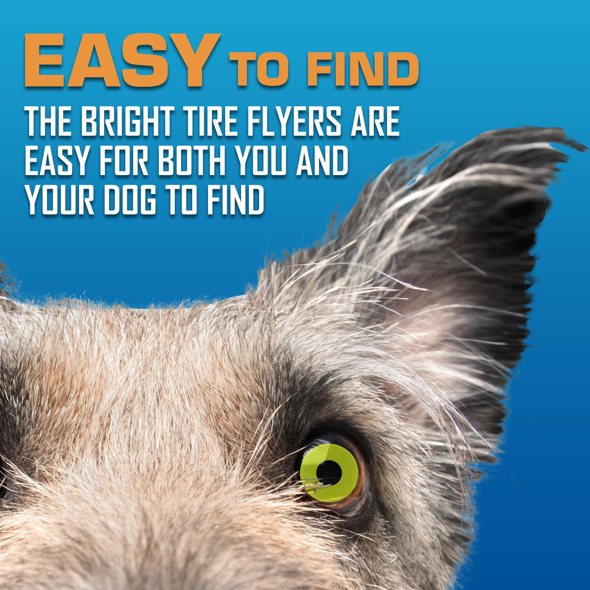 Tire Flyer Dog Toy Gift Set (Multicolor / 10 Inch (Pack of 3))