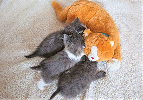 Plush Heartbeat Toy (Orange Kitty)