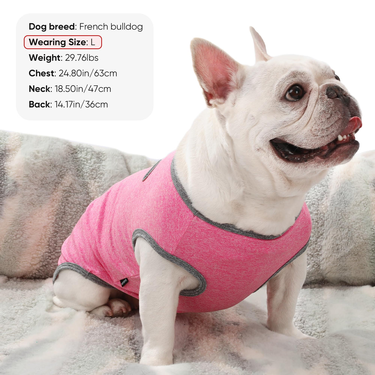 3 Pack Lightweight Sun Protection Dog Shirt Breathable Sleeveless Dog T Shirts Extra Soft Top Tank Dog Clothes for Outdoor Activities (Purple + Skin Pink + Light Pink / XS (Back: 10.2",Chest: 15.8", Neck 10.6"))