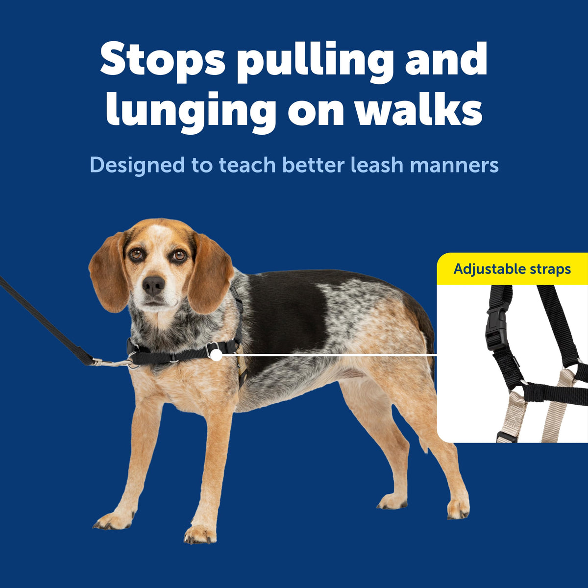 Easy Walk Harness (Small/Medium / Black/Silver)