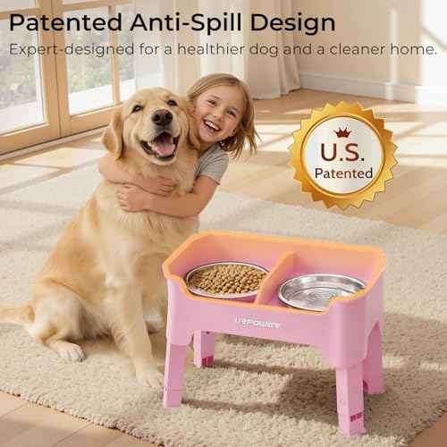 Mess Proof Elevated Dog Bowls (Pink / Medium)