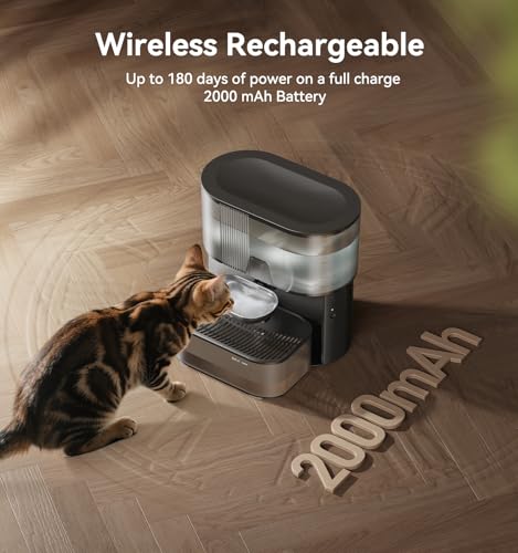 Cat Water Fountain