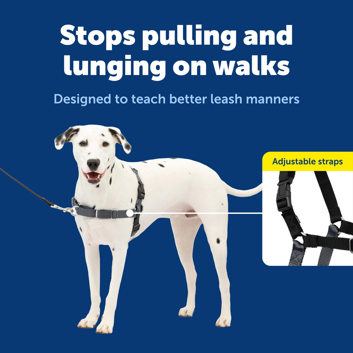 Easy Walk Harness (Medium/Large / Charcoal/Black)