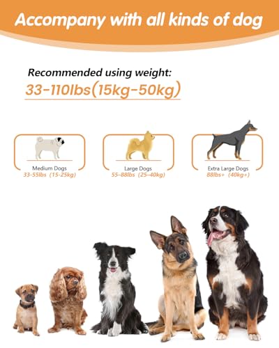 Hands Free Dog Leash (Orange / Large-5.9-9.5ft)