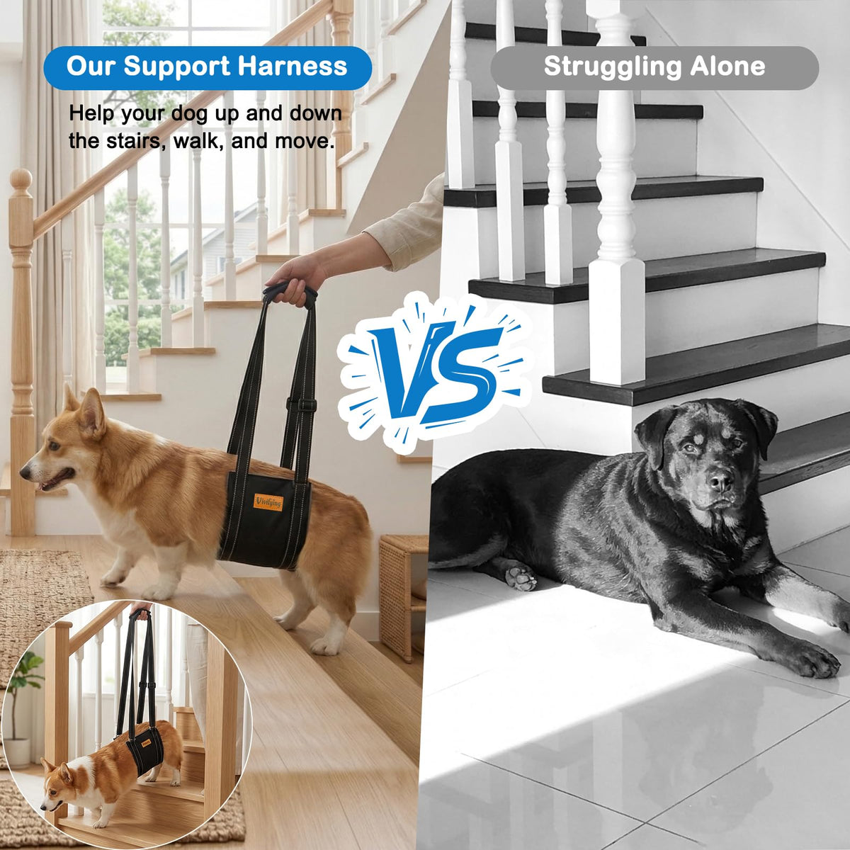 Dog Lift Harness (M)