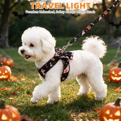 Halloween Dog Harness and Leash Set for Small Medium Sized Dogs Cats (BLACK / M (Chest Girth: 16.1"-18.9"))
