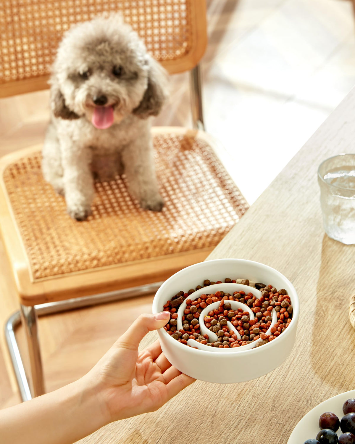 Ceramic Slow Feeder Dog Bowls (White / 6 Inches)