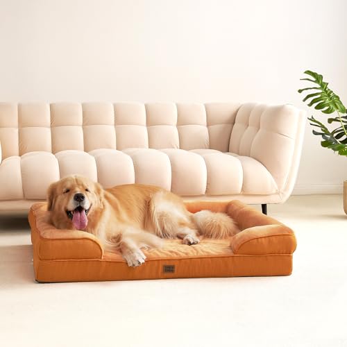 Orthopedic XXL Dog Bed (Pumpkin Orange / 46.0"l X 35.0"w X 7.5"th)