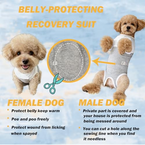 Dog Surgical Suit (XX-Small / grey and white)
