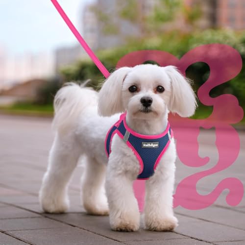 Dog Harness Small Sized and Leash Set (Navy Blue & Rose Red / M (Chest: 16.0"-18.5"))