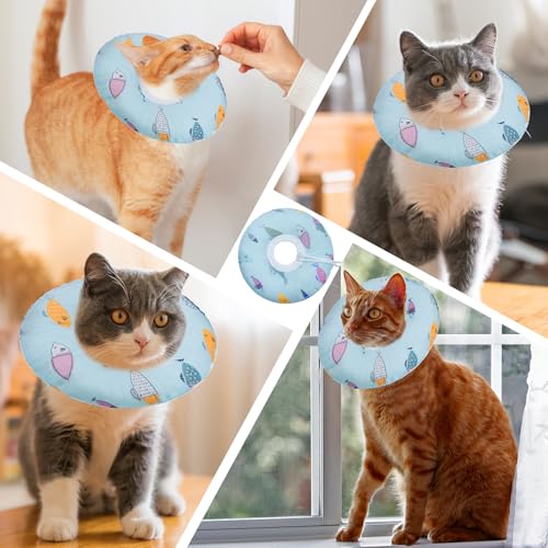 Cat Cone Collar Soft (Blue Fish / Medium)