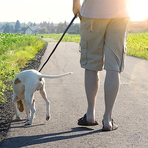 Black Leather Dog Leash 6ft x 5 (6 ft x 5/8 inch / Black)
