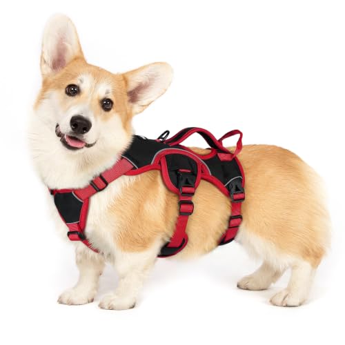 Escape Proof Dog Harness for Small (Red & Black / Small)