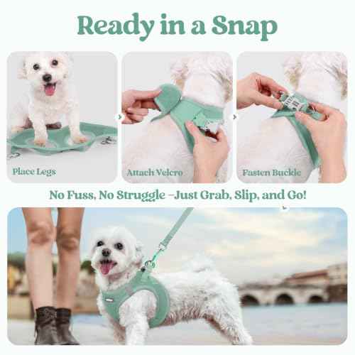 Dog Harness Medium Sized and Leash Set (Moss Green / L (chest: 18.2 - 20.5"))