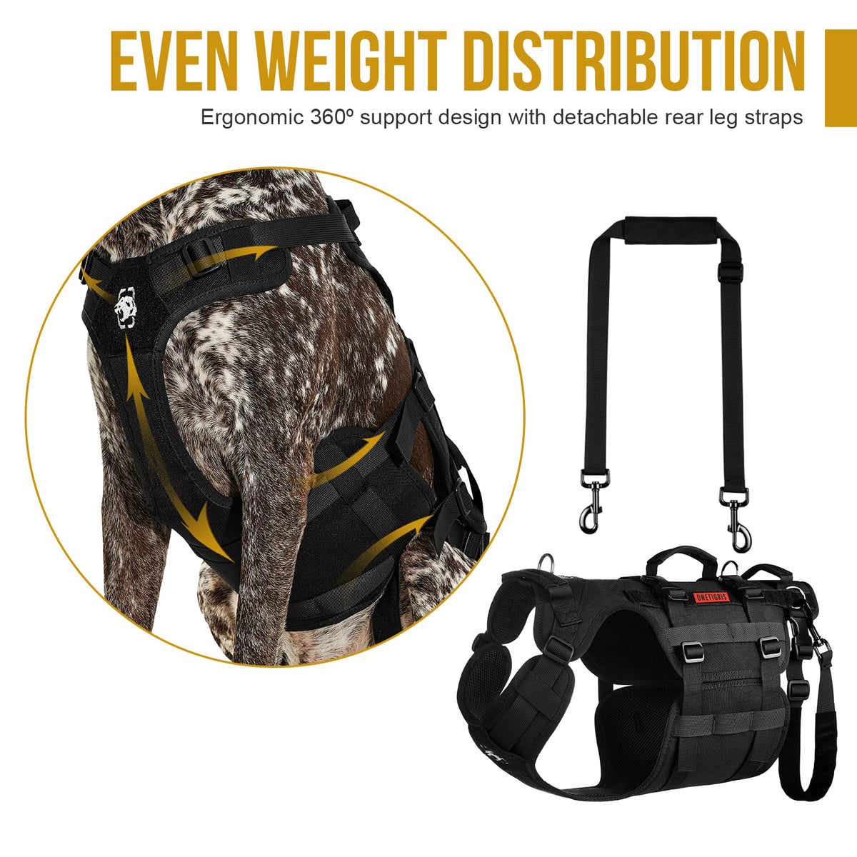 Dog Lift Harness for Large Dogs (Black / L)