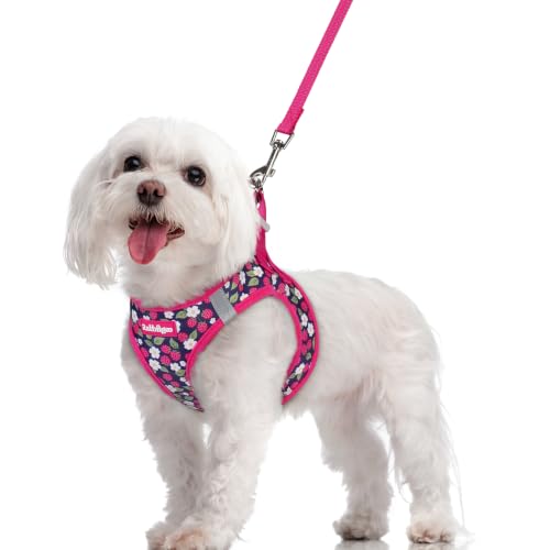 Dog Harness Medium Sized and Leash Set (Pink Berry / M (chest: 16 - 18.5"))