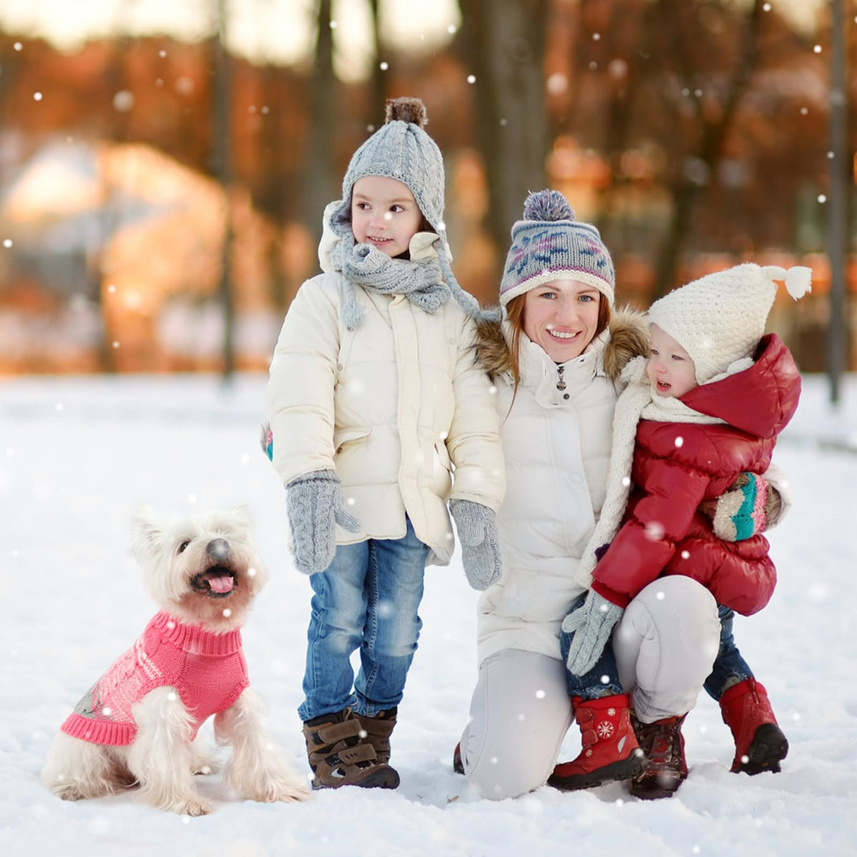 Dog Sweaters for Small Dogs Girl Boy (X-Small / #1 Pink)