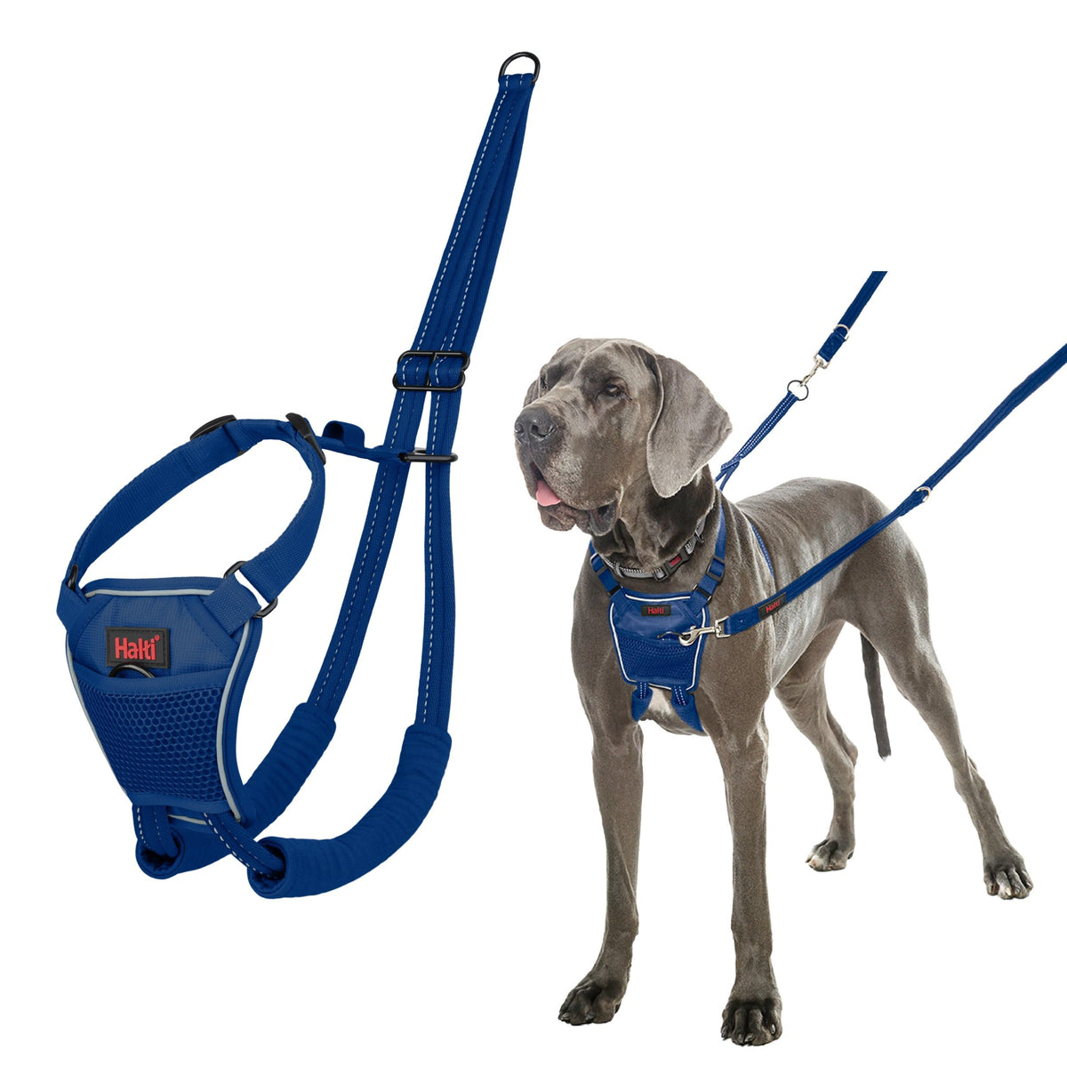 No Pull Dog Harness (Cobalt Blue / L)