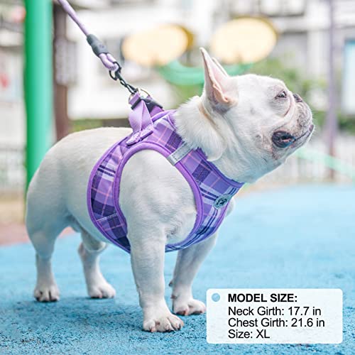Dog Harness Medium Sized and Leash Set (Medium(Chest Girth 16" - 18") / Purple)