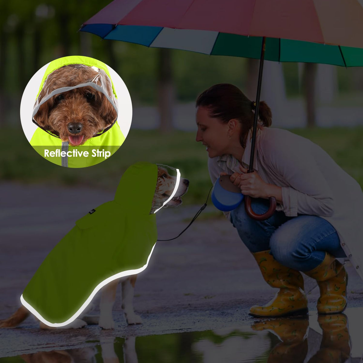 Dog Raincoat Waterproof Jacket with Clear Hood & Leash Hole (Green / 2X-Large)