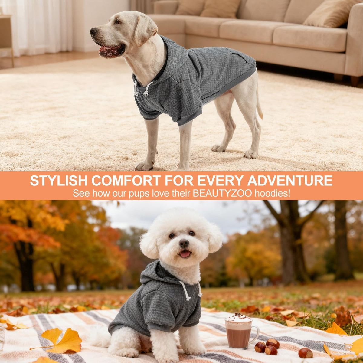 Dog Hoodies Sweater for Small Dogs (Dark Grey / S (Back: 12",Chest: 16", Neck: 10"))