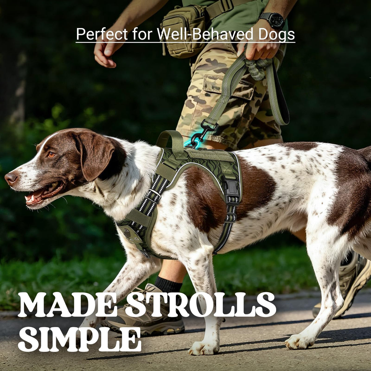 Tactical Dog Harness for Large (Green Desert / Small)