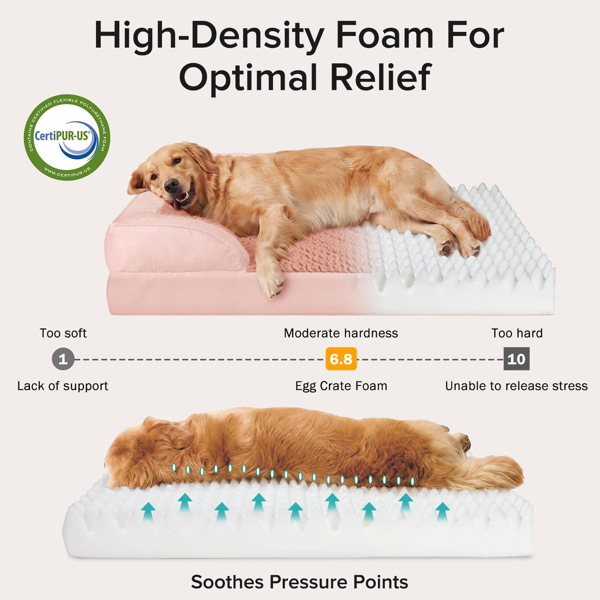 Orthopedic Large Dog Bed (Pink / L (35"x 25"x 6.5"))