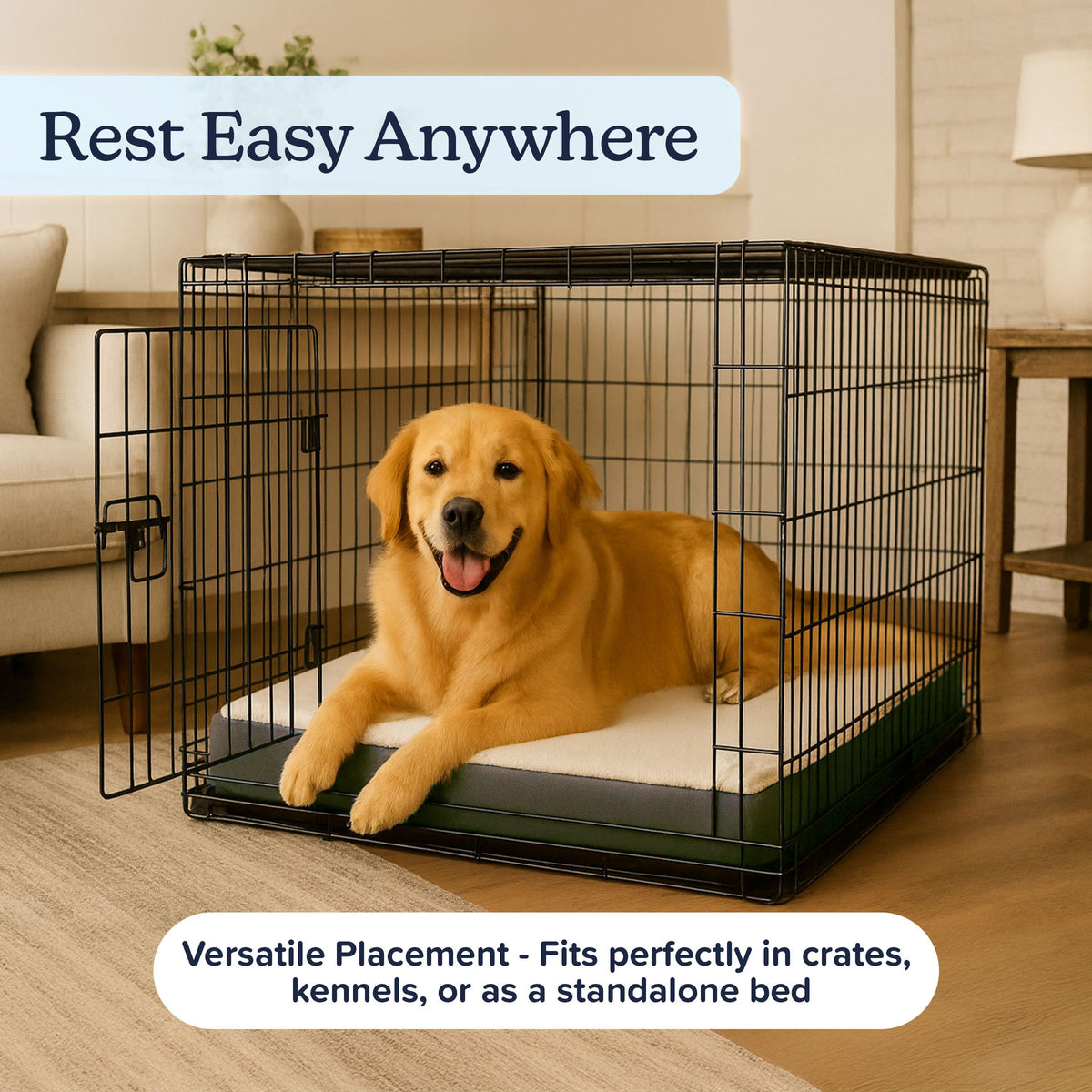 Orthopedic Dog Bed (Gray / Large)