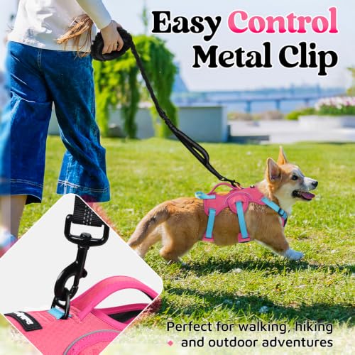 Escape Proof Dog Harness for Small (Sky & Peach & Rose / Small)