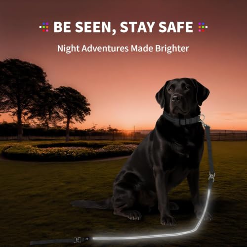 LED Dog Leash (White / 6 feet)