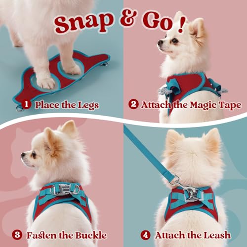 Dog Harness Small Sized and Leash Set (Red & Teal / S (Chest: 15.1"-16.5"))