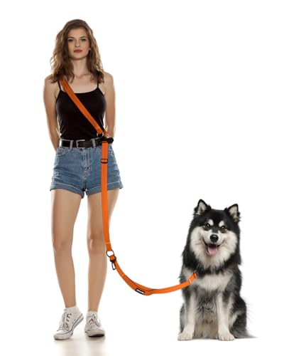 Hands Free Dog Leash (Orange / Large-5.9-9.5ft)
