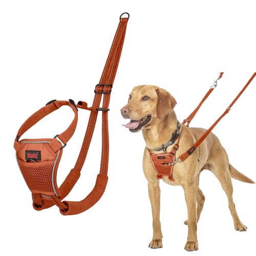 No Pull Dog Harness (Burnt Orange / M)