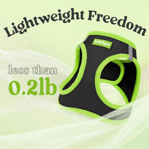 Dog Harness Small Sized and Leash Set (Black & Green / L (Chest: 18.2"-20.5"))