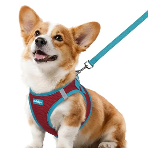 Dog Harness Small Sized and Leash Set (Red & Teal / L (Chest: 18.2"-20.5"))
