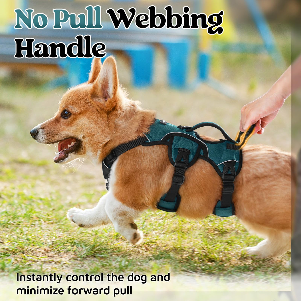 Escape Proof Dog Harness for Small (Dark Green / Small)