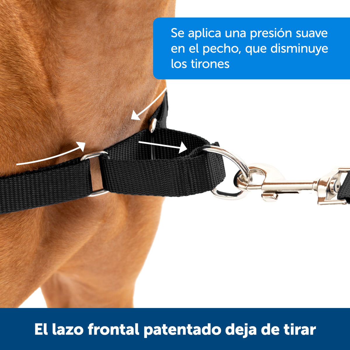 Easy Walk Harness (Medium/Large / Royal Blue/Navy Blue)