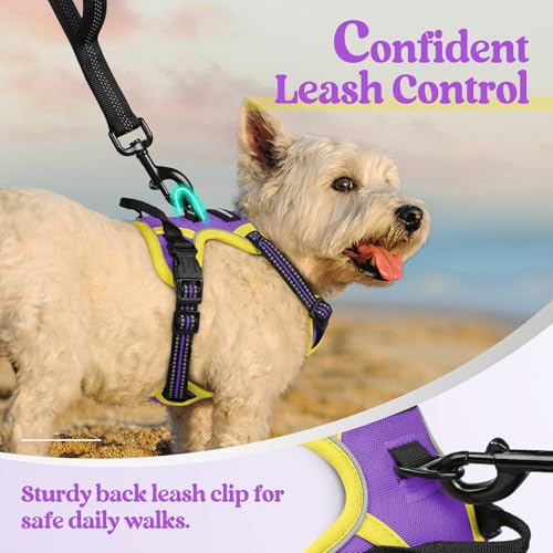 Dog Harness No Pull for Small Dogs with 2 Leash Clips (X-Small / Purple & Yellow)