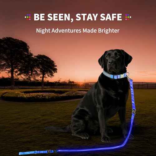 LED Dog Leash (Green / 6 feet)