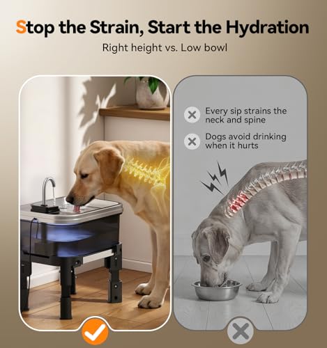 9L 2.38Gal Dog Water Fountain Elevated with 4 (Water Fountain + 3 Filters + 3 Sponges)