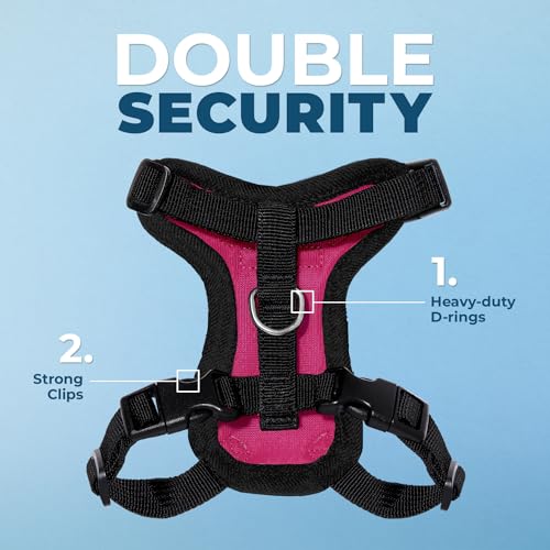 Voyager Step in Lock Cat Harness & Leash Set (Fuchsia/Black Trim / XXS (Chest: 11.5 - 14"))